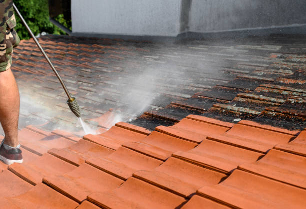 Best Local Pressure Washing Services  in Isanti, MN