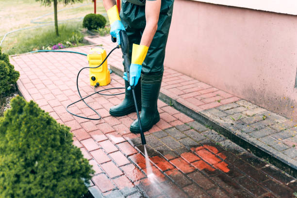 Best Sidewalk Pressure Washing  in Isanti, MN