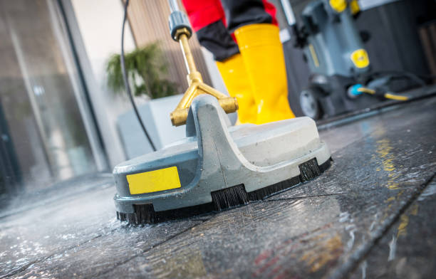 Best Roof Pressure Washing  in Isanti, MN