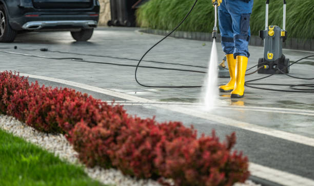 Best Best Pressure Washing Companies  in Isanti, MN