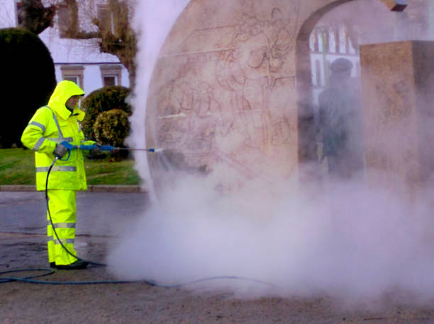 Best Roof Power Washing Services  in Isanti, MN